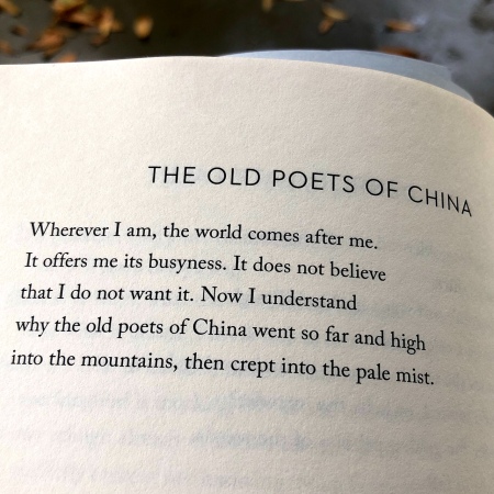sanity - china poem